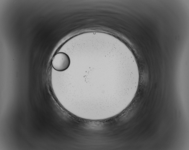 X0000085081514200703051058