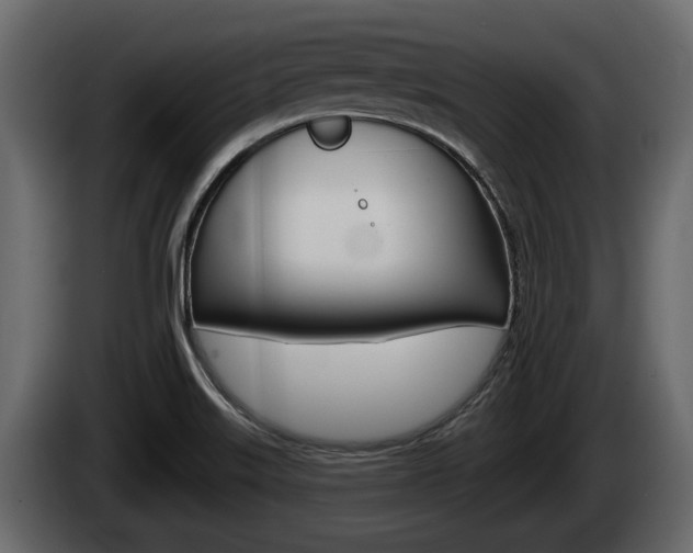 X0000085081515200703051058