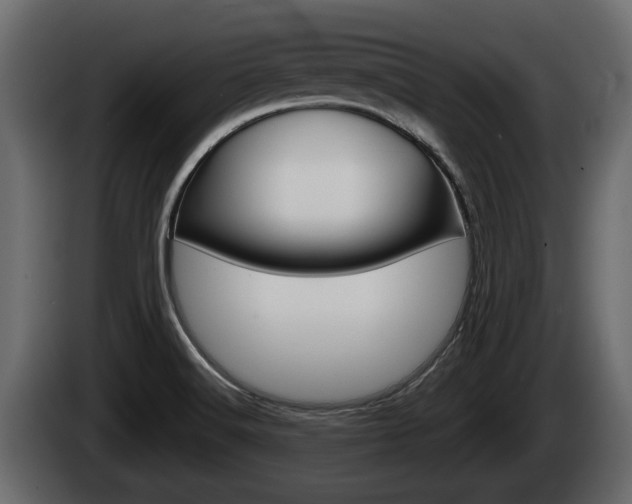 X0000085081516200703051058