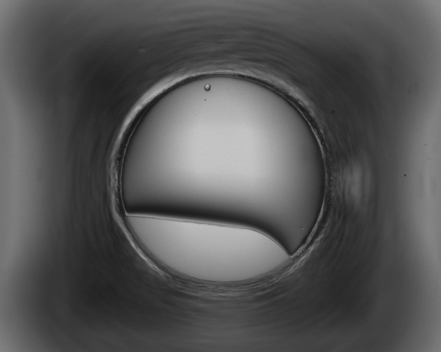 X0000085081517200703051058