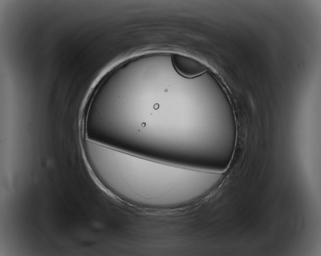X0000085081519200703051058