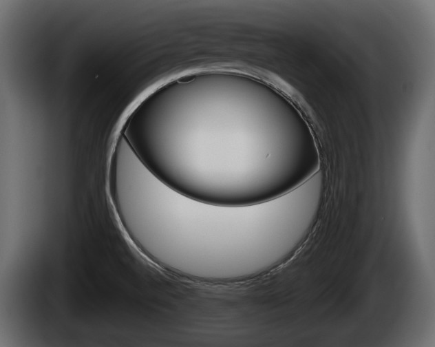 X0000085081520200703051058