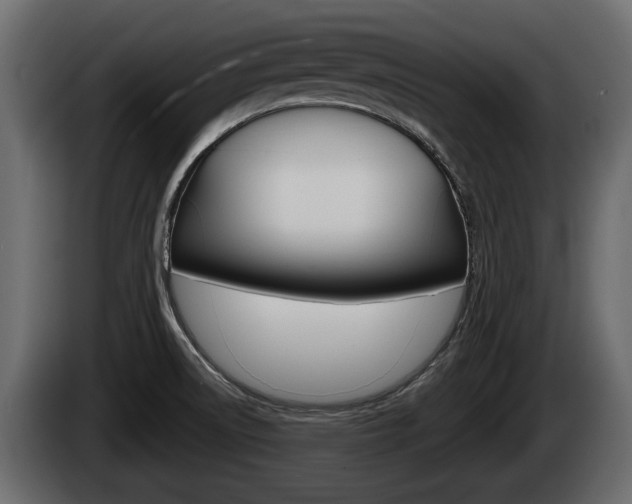 X0000085081522200703051058