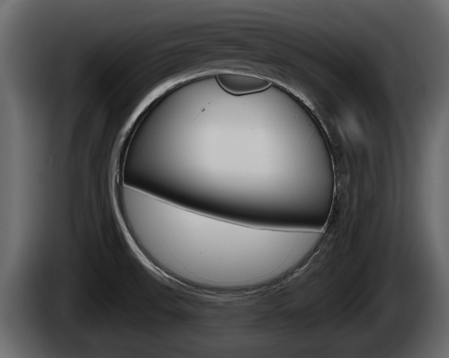 X0000085081523200703051058