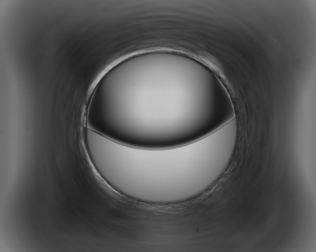 X0000085081524200703051058