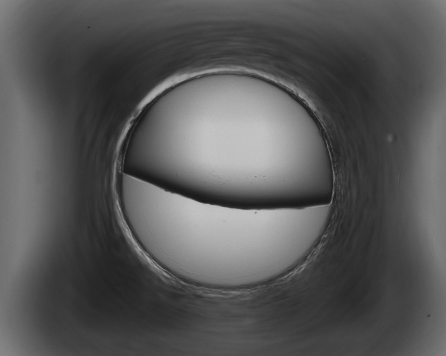 X0000085081526200703051058