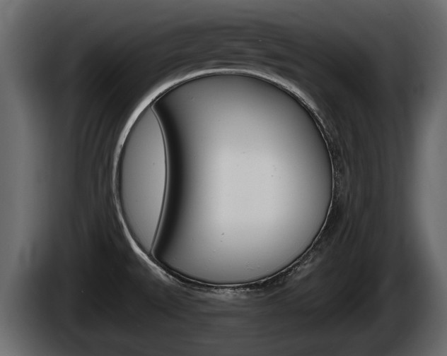 X0000085081527200703051058