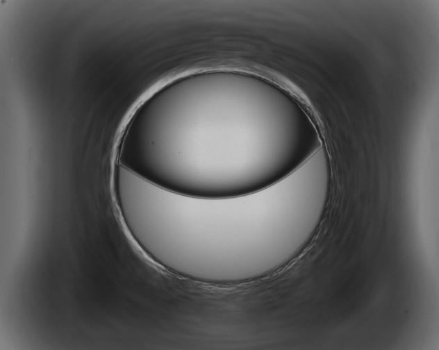 X0000085081528200703051058