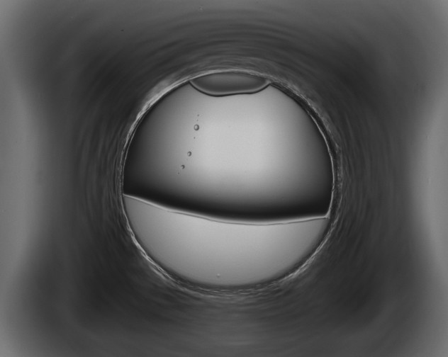 X0000085081529200703051058