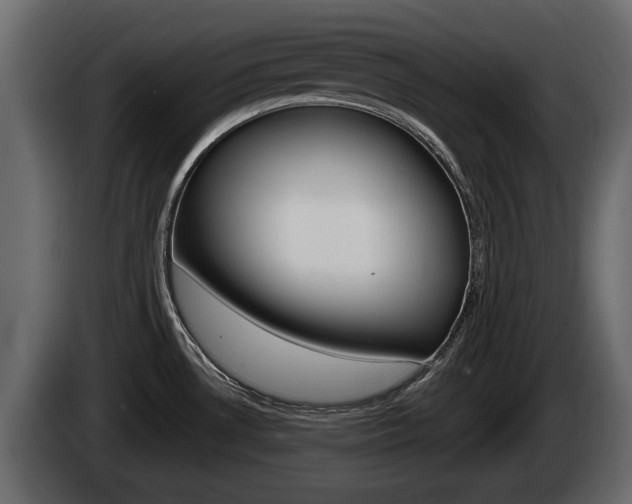 X0000085081530200703051058