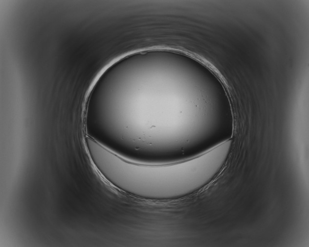 X0000085081532200703051059