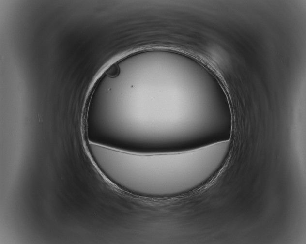 X0000085081533200703051059