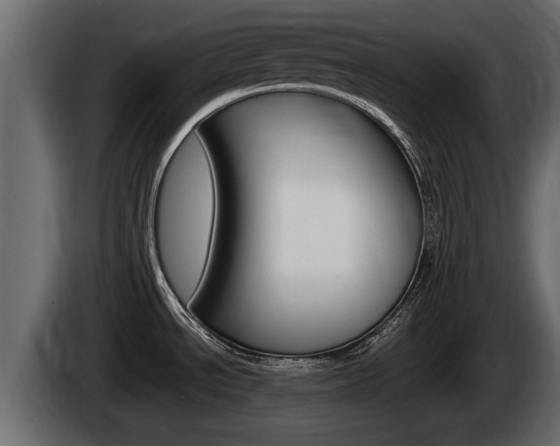 X0000085081534200703051059