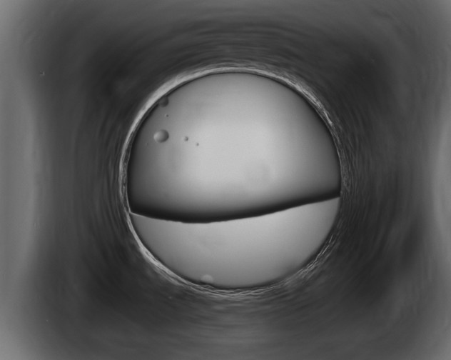 X0000085081535200703051059
