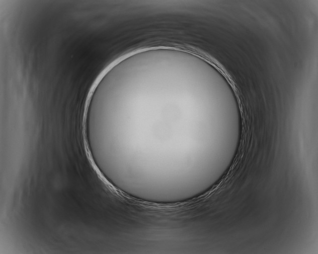 X0000085081536200703051059