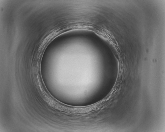 X0000085080001200703051445