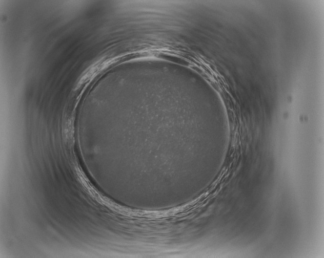 X0000085080002200703051445