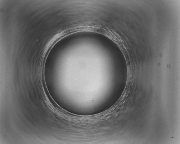 X0000085080003200703051445