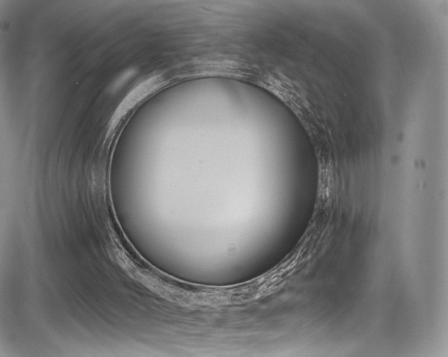 X0000085080004200703051445