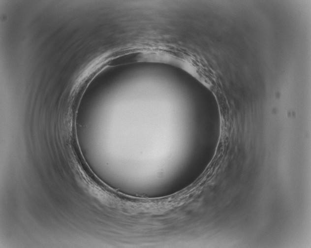 X0000085080005200703051445