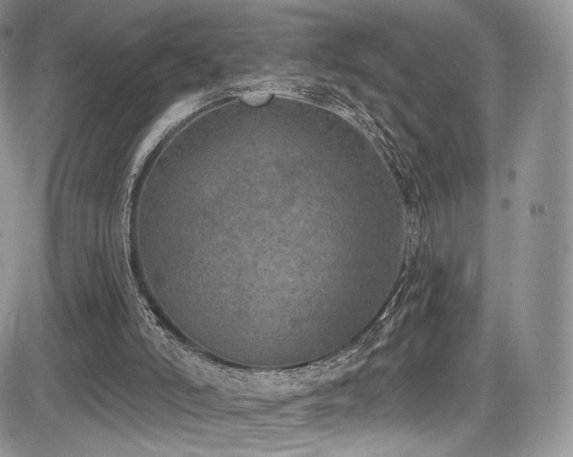 X0000085080006200703051445