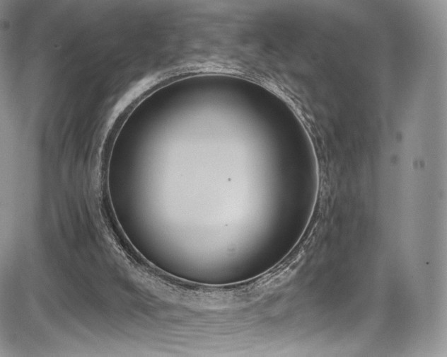 X0000085080008200703051445