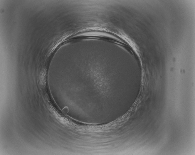 X0000085080009200703051445