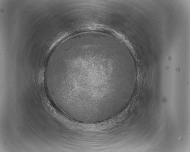 X0000085080010200703051445