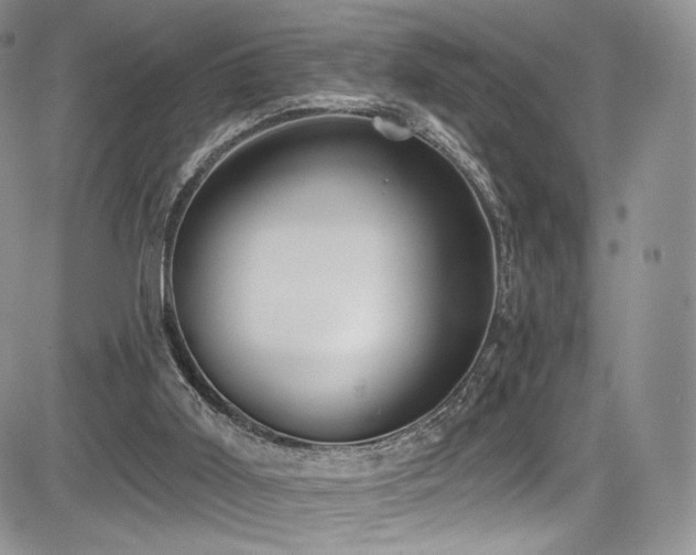 X0000085080011200703051445