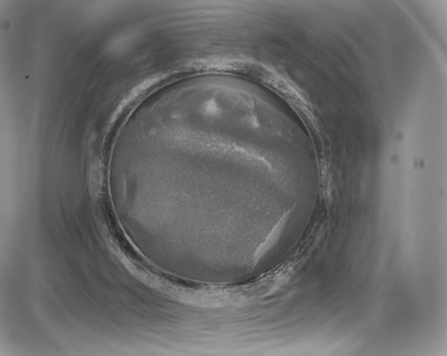 X0000085080012200703051445