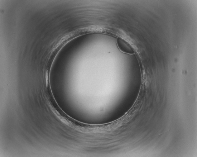 X0000085080013200703051445