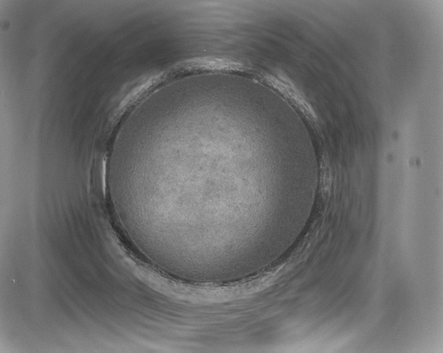 X0000085080014200703051445