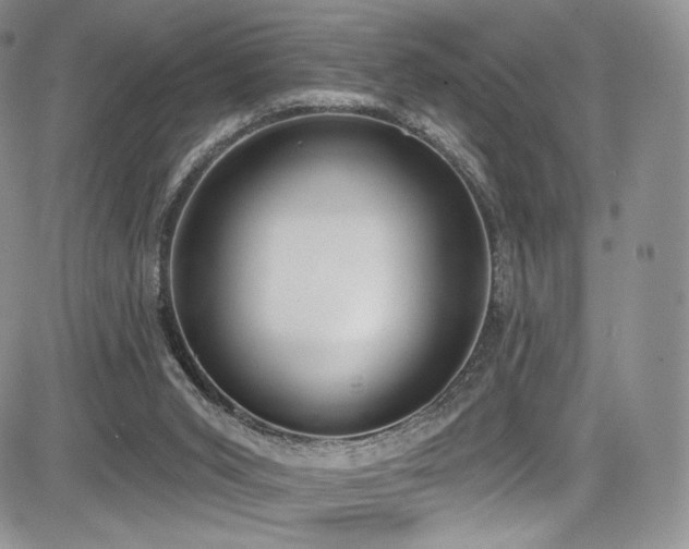 X0000085080015200703051445