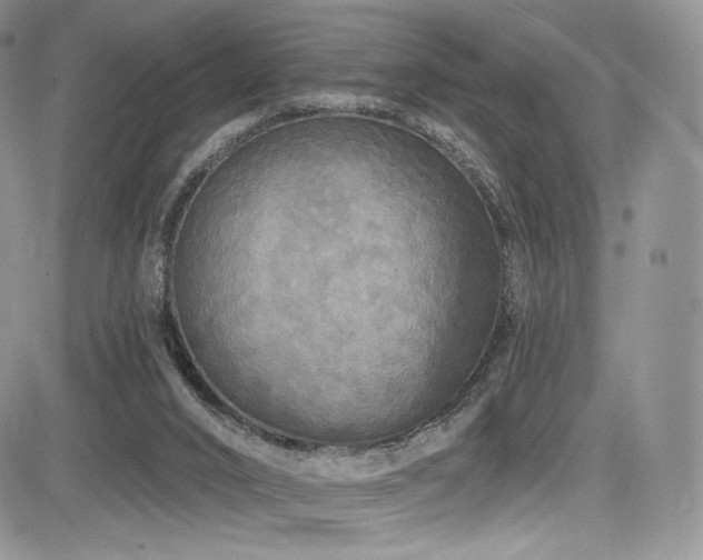 X0000085080016200703051445