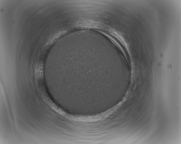 X0000085080017200703051445