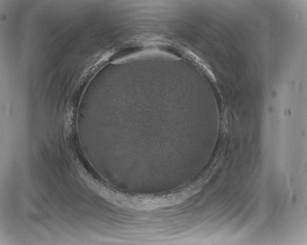 X0000085080018200703051445