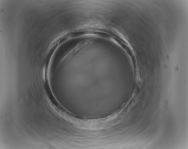 X0000085080019200703051445