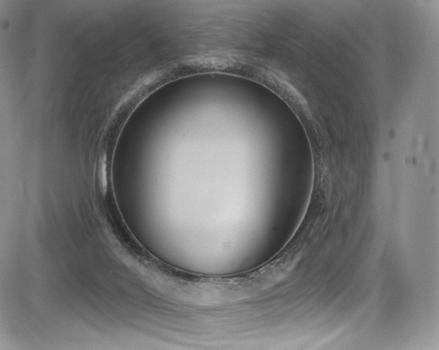 X0000085080020200703051445