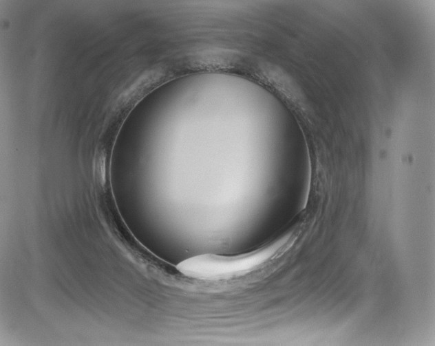 X0000085080021200703051445