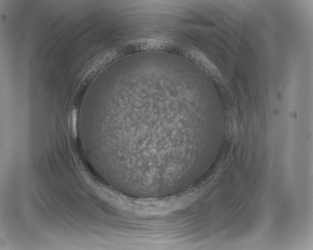 X0000085080022200703051445