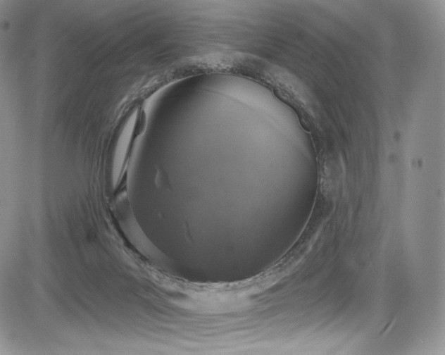 X0000085080023200703051445