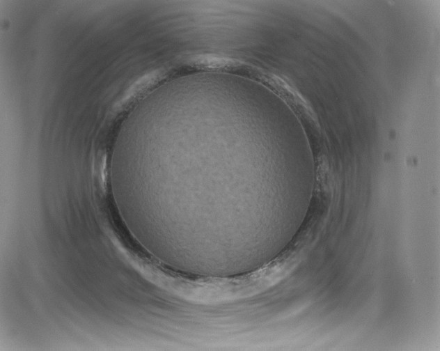 X0000085080024200703051445