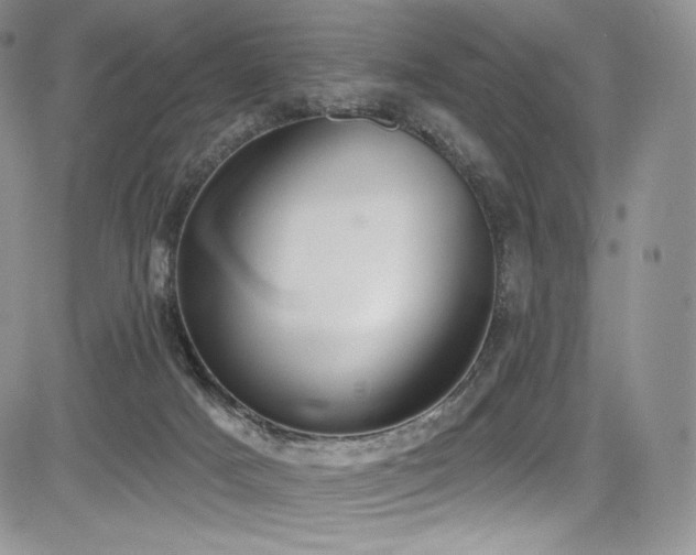 X0000085080025200703051445