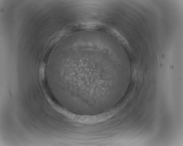 X0000085080026200703051445