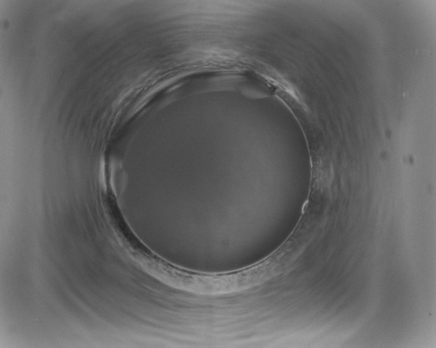 X0000085080027200703051445