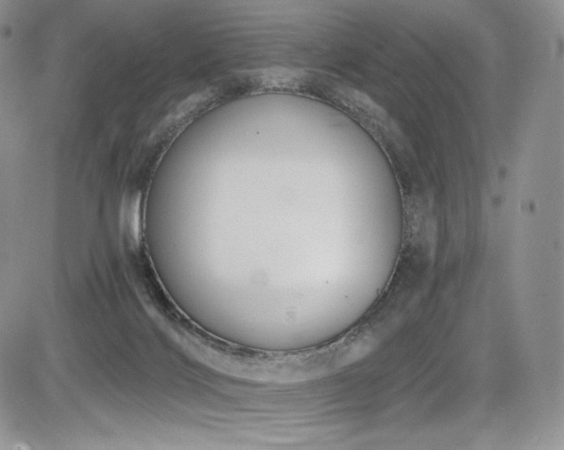 X0000085080028200703051445