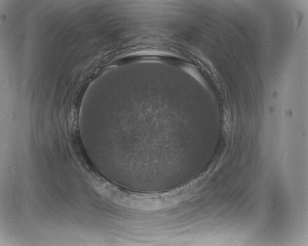 X0000085080029200703051445