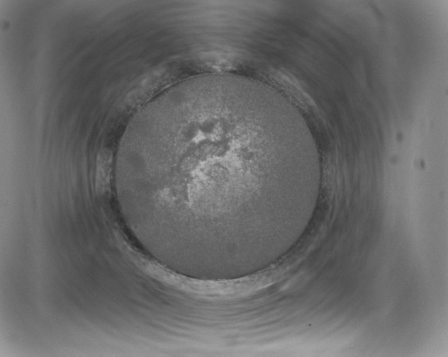 X0000085080030200703051445