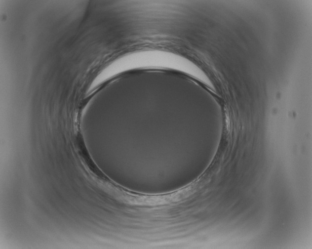 X0000085080031200703051445