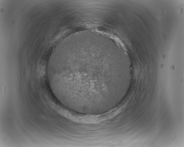 X0000085080032200703051445